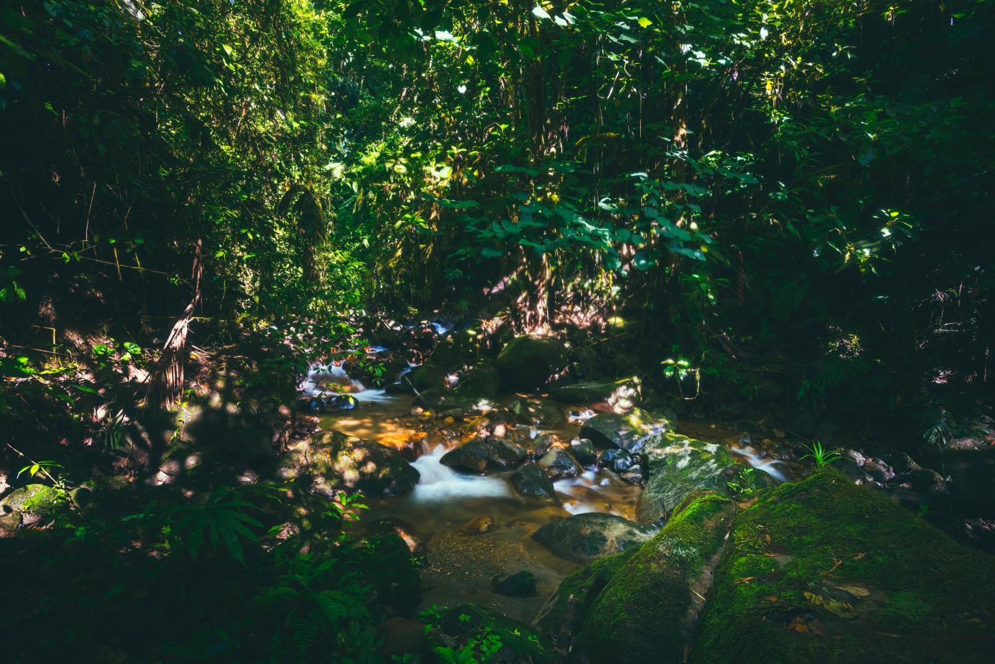 Amor Arenal Adults Friendly La Fortuna Kültér fotó